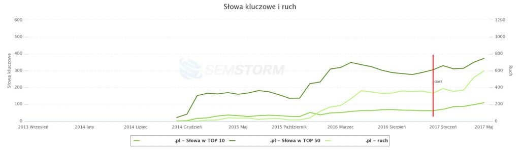 case study kampanii reklamowych: projekt 2 pozycjonowanie