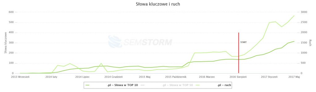 case study kampanii reklamowych: projekt 3 - pozycjonowanie sklepu internetowego