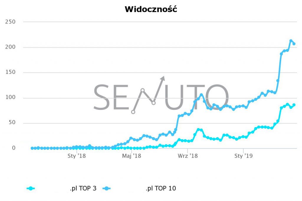 widoczność sklepu internetowego w wyszukiwarce